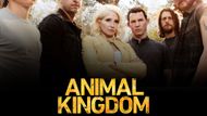Animal Kingdom - A TV show like Sons of Anarchy | Image via Prime Video